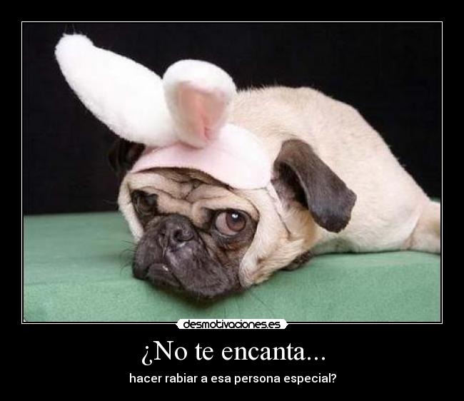 ¿No te encanta... - 