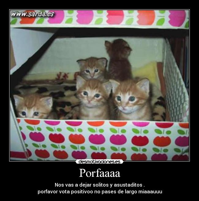 Porfaaaa - Nos vas a dejar solitos y asustaditos .
porfavor vota positivoo no pases de largo miaaauuu