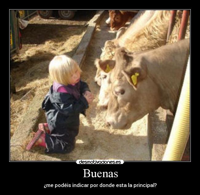 Buenas - ¿me podéis indicar por donde esta la principal?