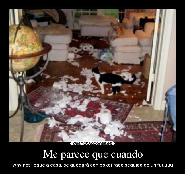 carteles carlitolove desmotivaciones