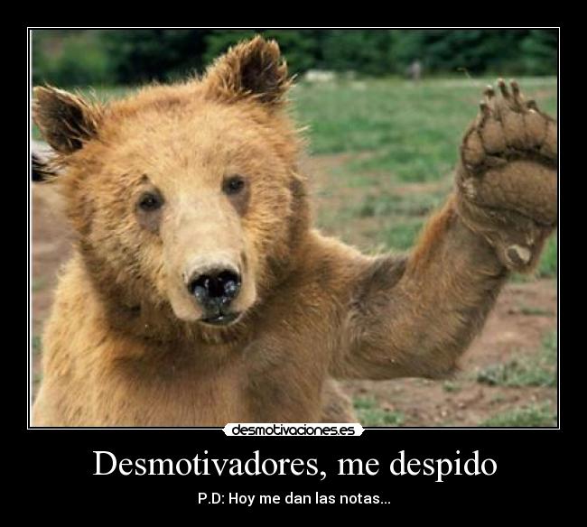 Desmotivadores, me despido - 