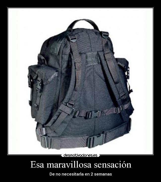 Esa maravillosa sensación -