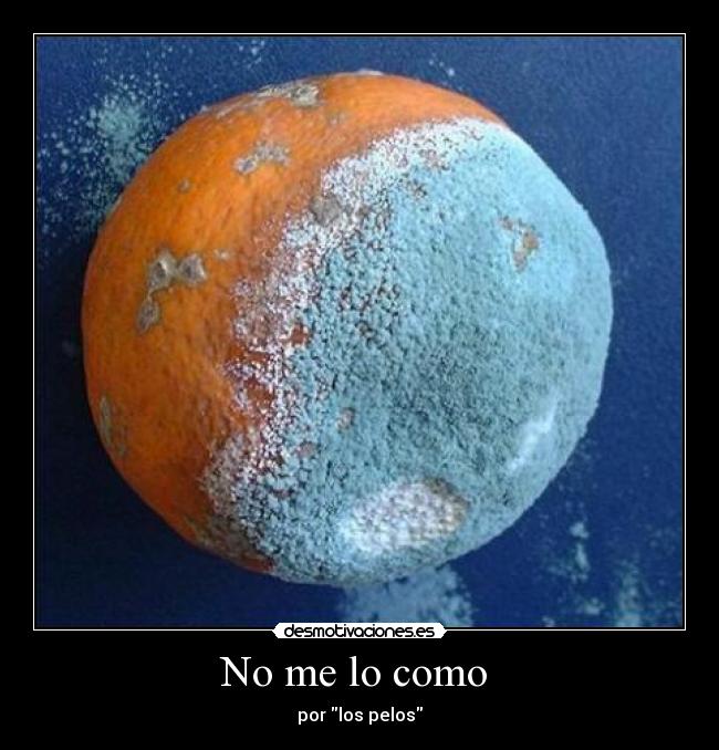 carteles por los pelos desmotivaciones