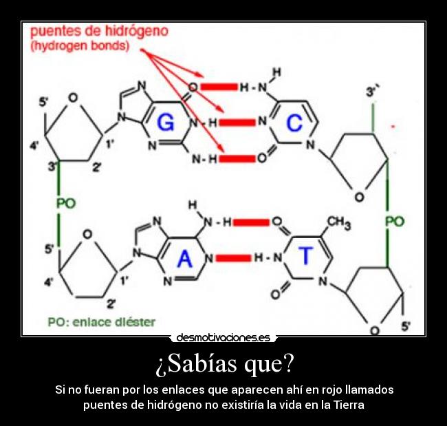 ¿Sabías que? - 