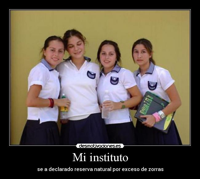 Mi instituto -
