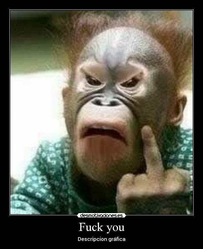 Fuck you - Descripcion gráfica