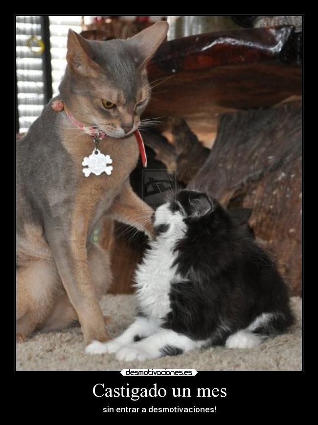 Castigado un mes -