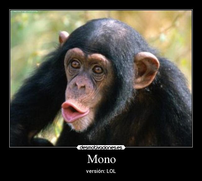 Mono -
