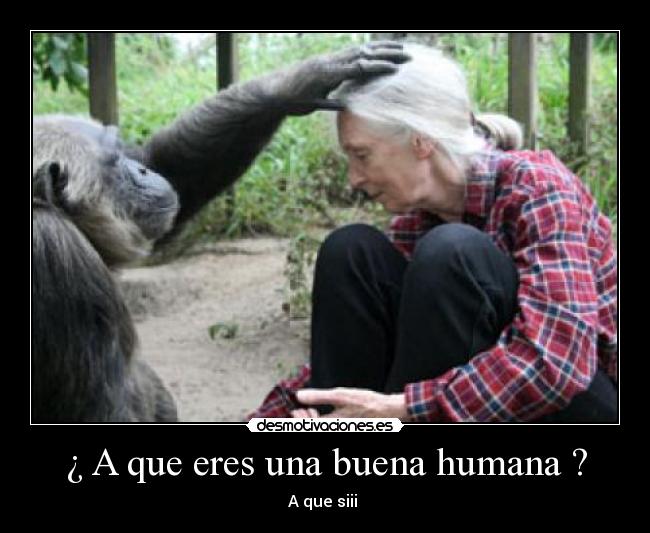 ¿ A que eres una buena humana ? -