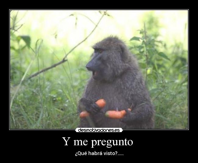 carteles pregunto desmotivaciones