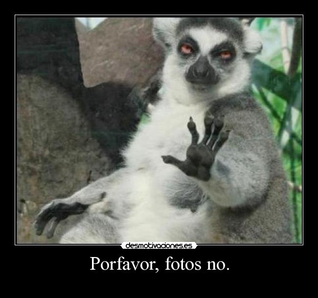 Porfavor, fotos no. -
