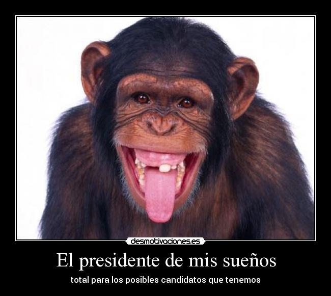 El presidente de mis sueños - total para los posibles candidatos que tenemos