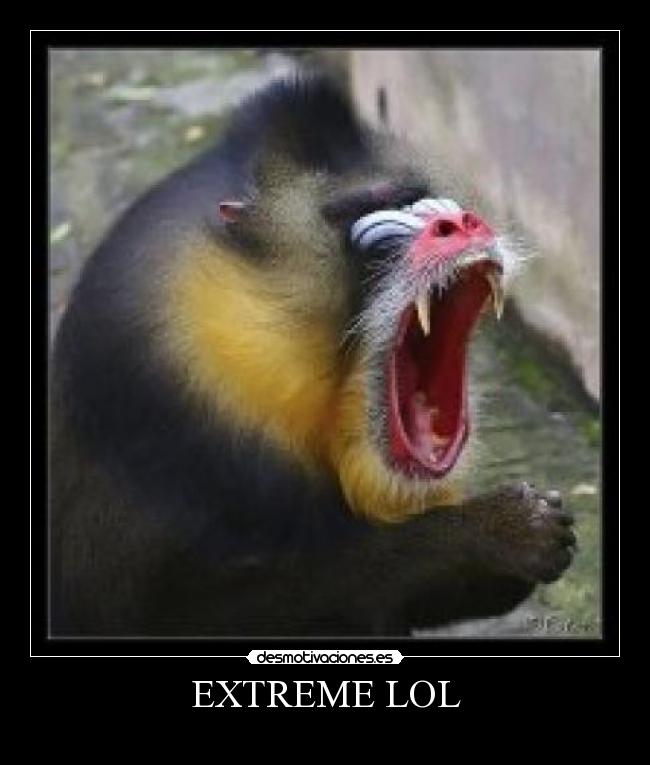 carteles  desmotivaciones