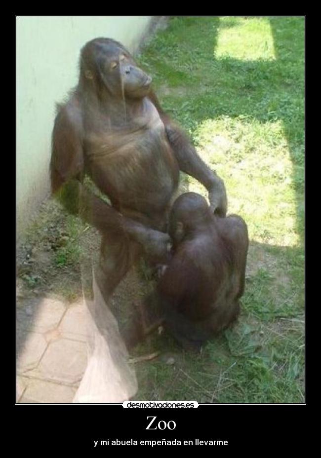 Zoo - y mi abuela empeñada en llevarme