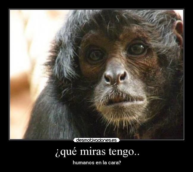 ¿qué miras tengo.. - humanos en la cara?