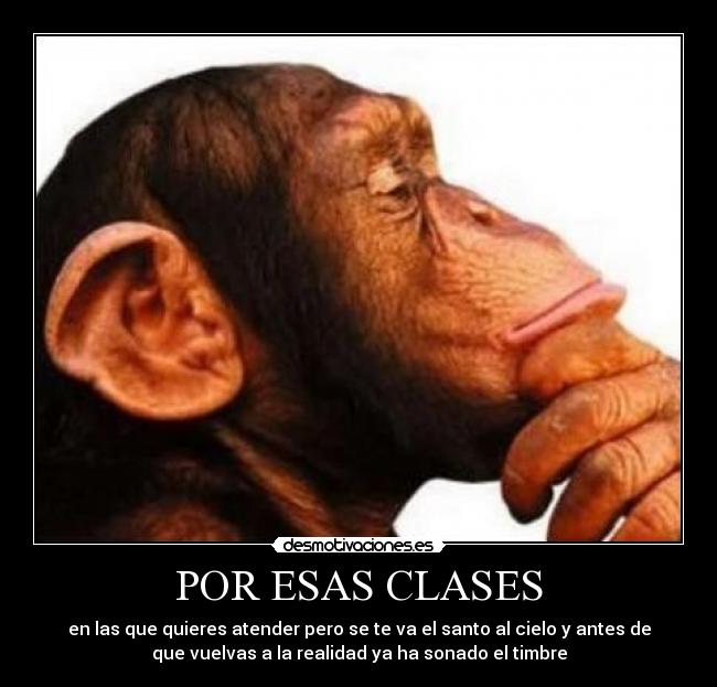 POR ESAS CLASES -
