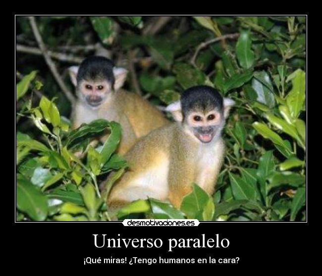 Universo paralelo - ¡Qué miras! ¿Tengo humanos en la cara?