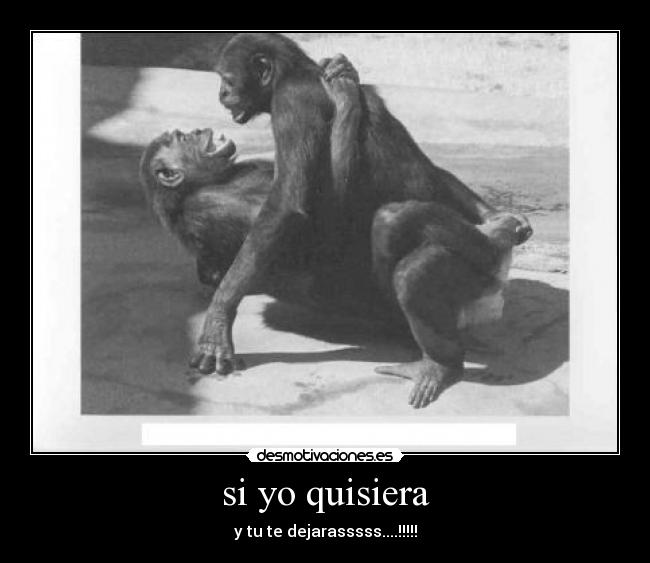 si yo quisiera -