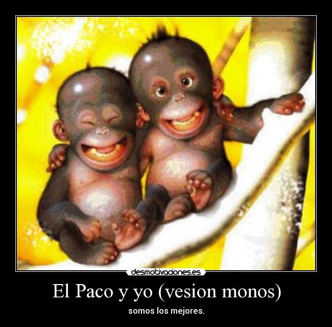 El Paco y yo (vesion monos) - 