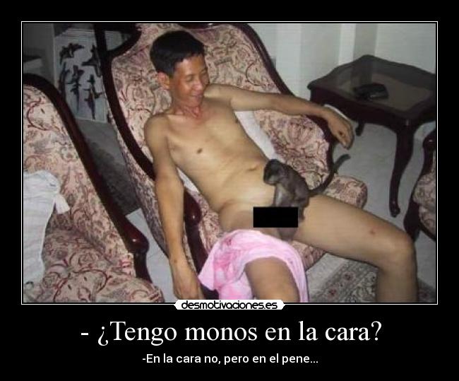- ¿Tengo monos en la cara? -