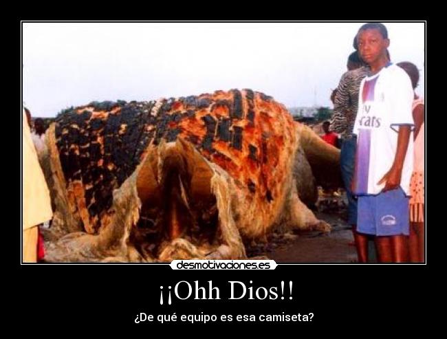 ¡¡Ohh Dios!! - 