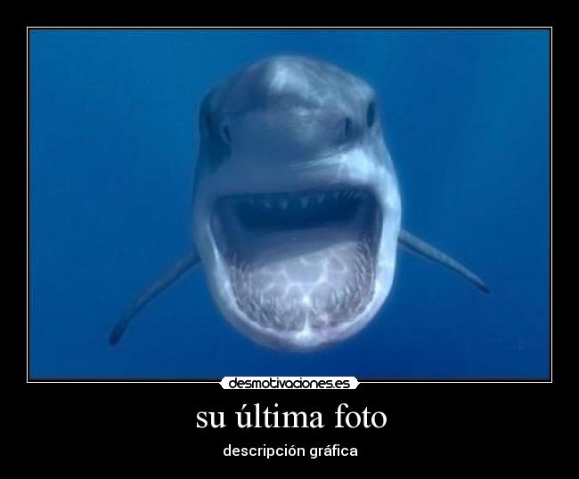 su última foto - 