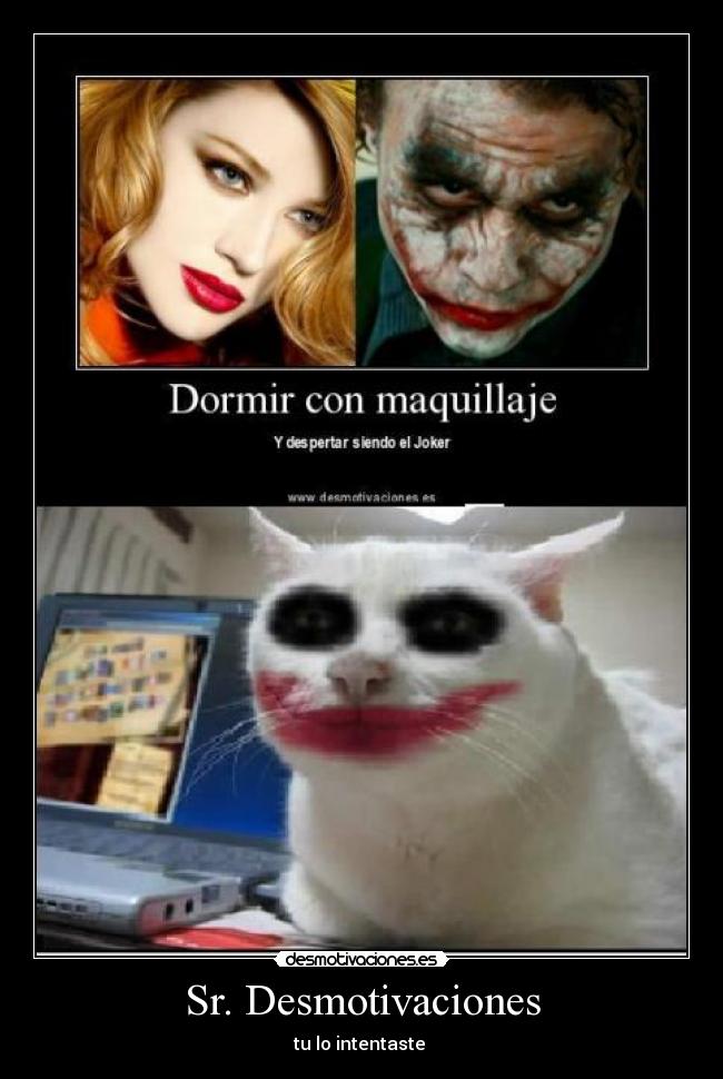 Sr. Desmotivaciones - tu lo intentaste