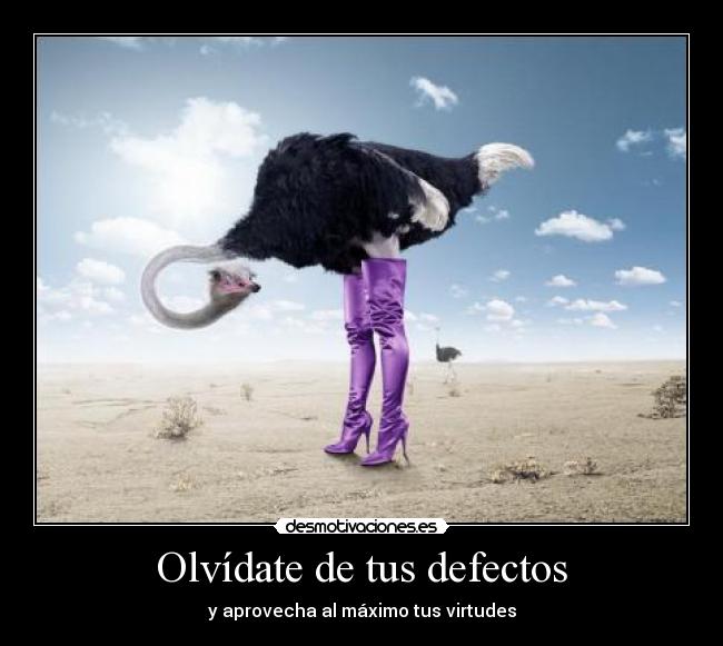 Olvídate de tus defectos - y aprovecha al máximo tus virtudes