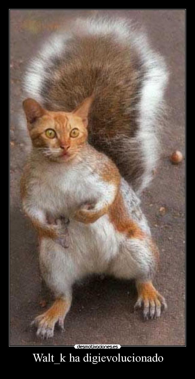 Walt_k ha digievolucionado - 