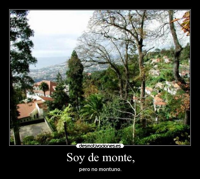 Soy de monte, - pero no montuno.
