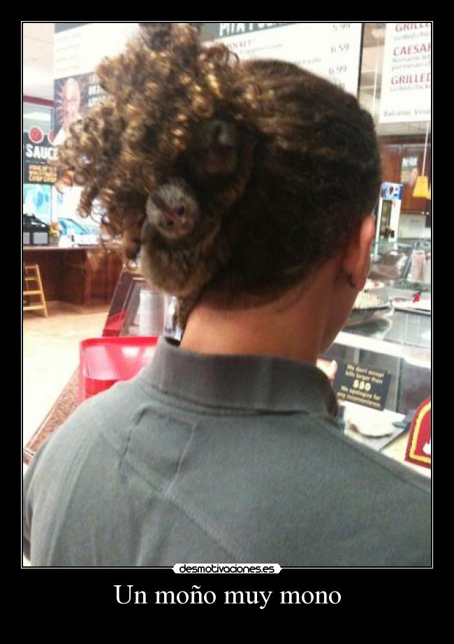 carteles mono mono desmotivaciones