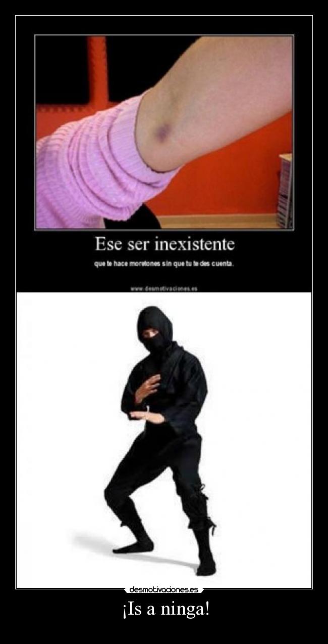 ¡Is a ninga! -