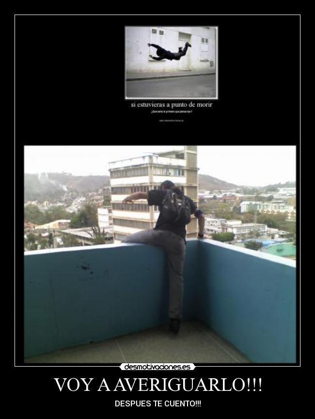 VOY A AVERIGUARLO!!! -