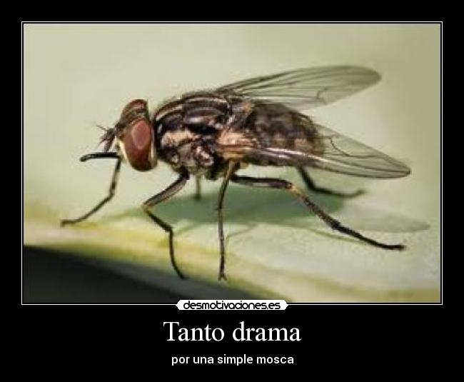 Tanto drama - 
