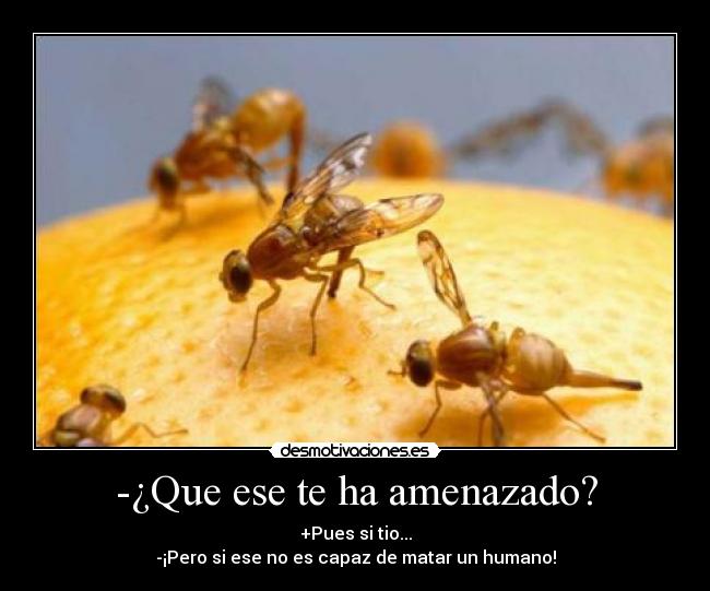-¿Que ese te ha amenazado? -