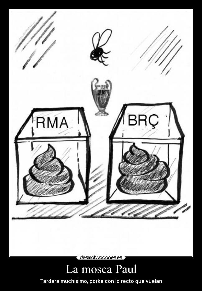 La mosca Paul - Tardara muchisimo, porke con lo recto que vuelan