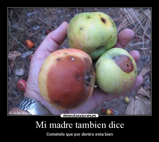 Mi madre tambien dice - 