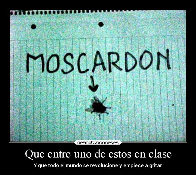 Que entre uno de estos en clase - Y que todo el mundo se revolucione y empiece a gritar