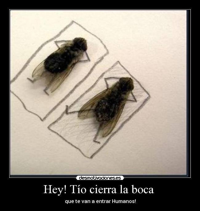 Hey! Tío cierra la boca - que te van a entrar Humanos!