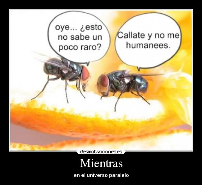 carteles asteriscoalmohadilla54 arrobabatum desmotivaciones