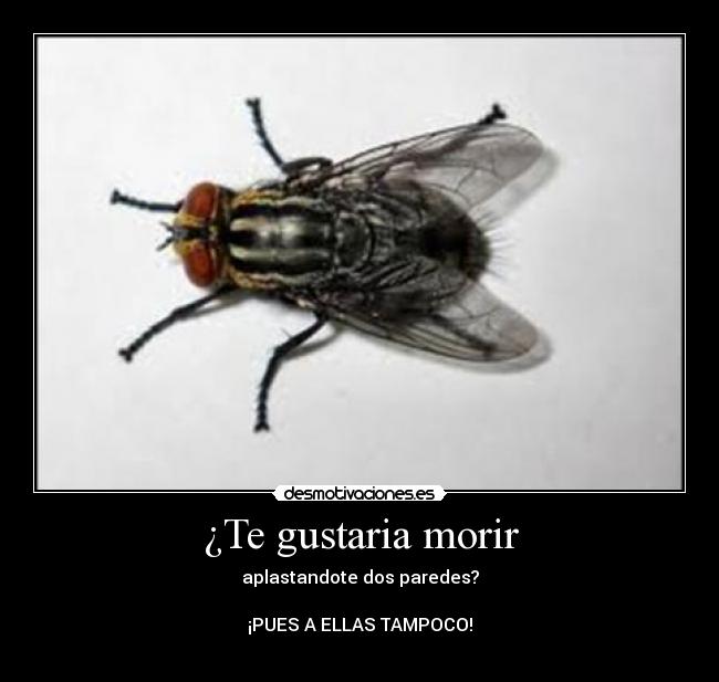 ¿Te gustaria morir -