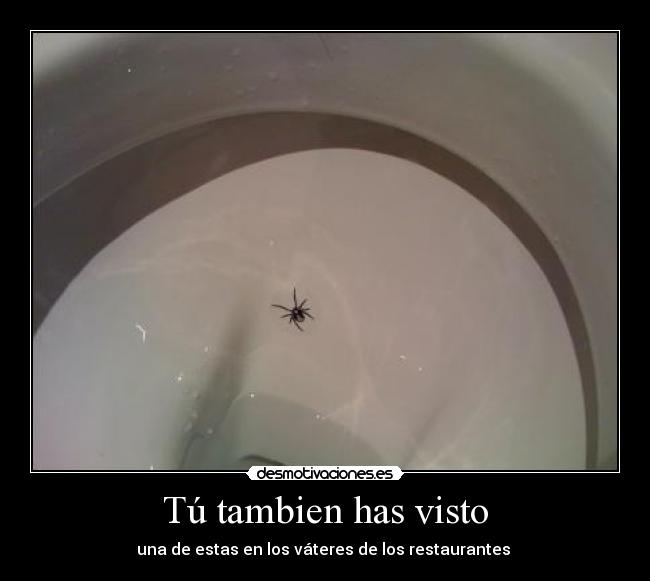 Tú tambien has visto - una de estas en los váteres de los restaurantes