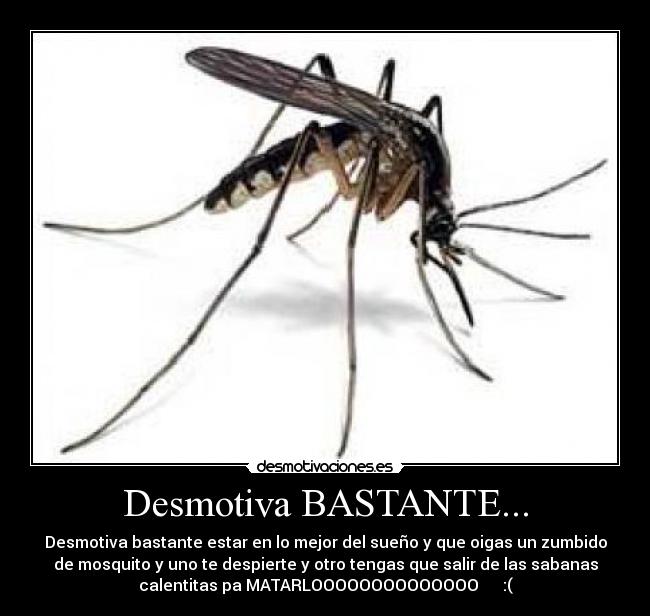 Desmotiva BASTANTE... - 