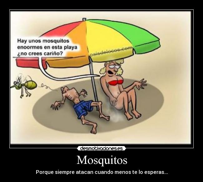 Mosquitos -