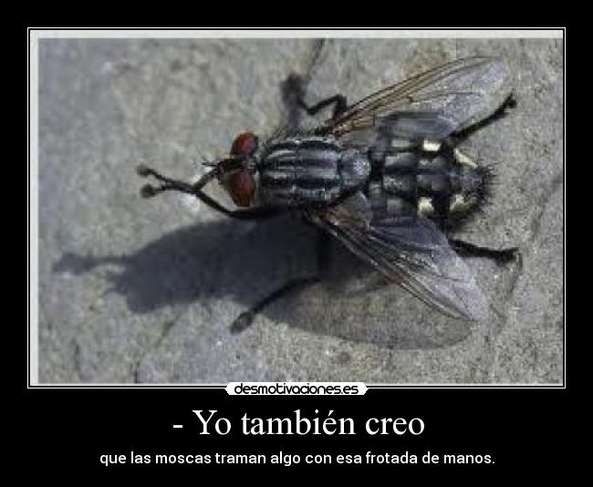 - Yo también creo - 