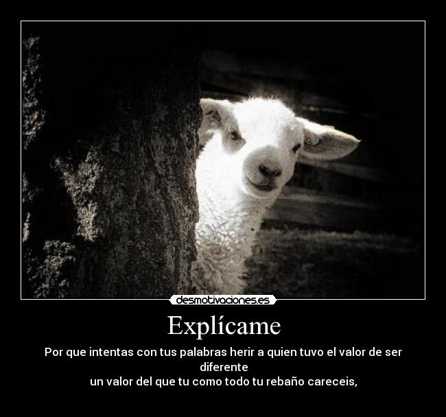Explícame -