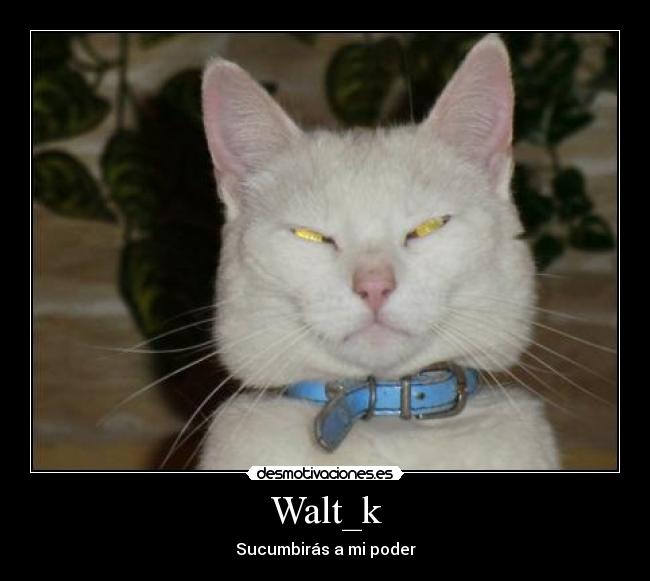Walt_k -