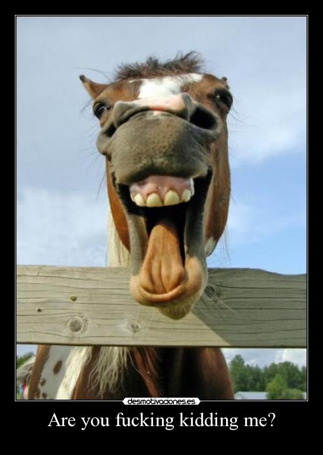 Are you fucking kidding me? - 