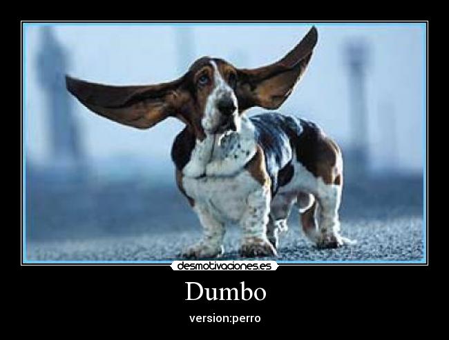 Dumbo -