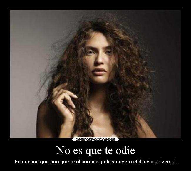 No es que te odie - Es que me gustaría que te alisaras el pelo y cayera el diluvio universal.